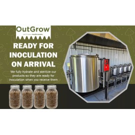 Out-Grow Sterilized Rye Berry Grain Spawn Jars | 4-Pack of Quart Sized Jars