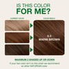 Naturigin Permanent Hair Color, 5.3 Warm Brown, Ammonia Free, 100%