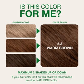 Naturigin Permanent Hair Color, 5.3 Warm Brown, Ammonia Free, 100% Gray Coverage, Nourishing Natural Formula, For All Hair Types, Long-Lasting, Vegan & Cruelty-Free, 1 Pack