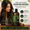 Shampoo Café Romero Y Canela Vida Natural Fortalecedor 1l