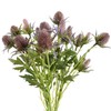 HUIANER Artificial Thistle Spray Eryngium Flowers 2pcs Artificial Eryngium Artificial