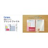 Kokuyo Campus Easy to Review Print File, A4 Light Blue,