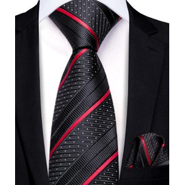 Hi-Tie Boys Ties Self Tie Silk Black and Red Striped Kids Necktie and Pocket Square Set for Age 8-14 Wedding School