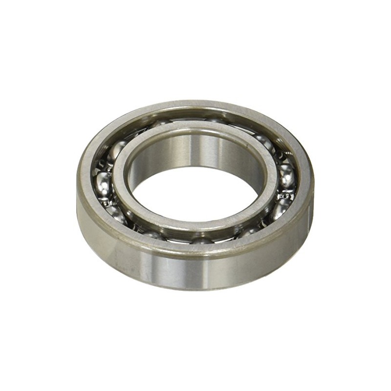 BEARING 6007