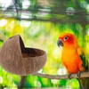 Kisangel Coconut Shell Nest Coconuts Parrot House Bird Nests for