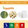100% Compostable 5 Compartment Paper Plates, 125 Pack Heavy Duty
