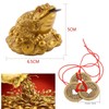 YODOOLTLY Lucky Money Frog- Feng Shui Toad and 5 Sets