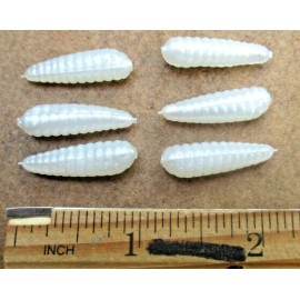 ALL AMERICAN 50ct PEARL WHITE 1" BEETLE BUGS Beetles Crappie Fishing Baits Lures Spin Bodies
