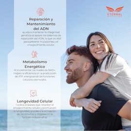 NAD Caps - NAD (Nicotinamida Adenina Dinucleótido) con Colágeno Marino Hidrolizado - Suplemento Diario - 90 Cápsulas 500 mg - Sin Sabor