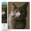 DIAMOND DOTZ Smokey Cat Diamond Painting Kits for Adults -