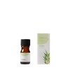 Tree of Life Essential Oil Tea Tree 5ml