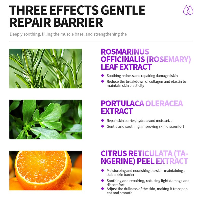 SkinDilys オーストラリアブランド Pro-Xilane リンクルケアクリーム 30g / 肌を引き締め、セラミドとマルチウェイトヒアルロン酸が水分を回復し、バリアを強化し、滑らかな肌触りと肌を保護します