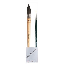 Raphael Lavis Watercolour Brush Small Grey on Feather Series 803 No.5 + 1 Piece Mini Da Vinci Nova Synthetic 1570