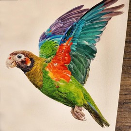 PHOENIX Artist Grade Watercolor Paint Set - 24 Colors Half Pan / Clear Textured Pigment Watercolor / Tin Box with Palette - Compact Portable Travel Set