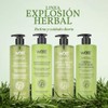 CREMA CORPORAL EXPLOSIÓN HERBAL WOTT 740 ML.
