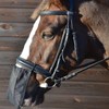 Hy Nose Shield-Black-Cob/Full
