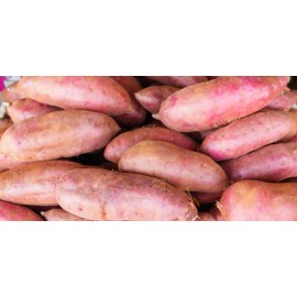 Unbranded Japanese Murasaki Sweet Potatoes Beni Imo Planting or Cooking Non GMO - 4 Pounds