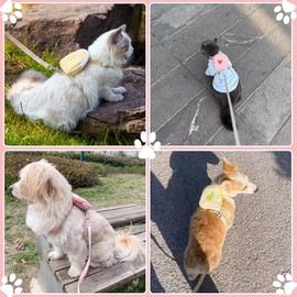 Arnés Correa para Gato con Mochila, Arnés Ajustable De Fácil Control Para Gatos, Chaleco Suave Ajustable para Gatitos para Gatos para Viajes Al Aire  