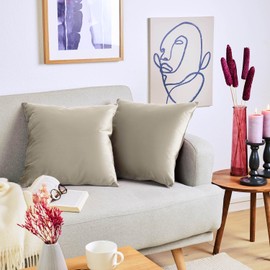 Blumtal Set of 2 Soft Velvet Cushion Covers, 30 x 50 cm, Elegant Velvet Pillowcases, Taupe