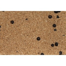 FTM: Fishing Tackle MAX Smoking Meal Beech with Juniper 500 g