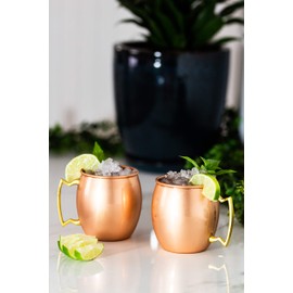 Teal Turtle Moscow Mule Mugs -(Set Of 2) 16 oz Mug Solid Copper - Stainless Steel Lining - Food Safe Pure Copper Plating with Gold Brass Handle