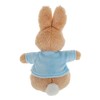 Beatrix Potter Soft Toys Peter Rabbit Small Soft Toy