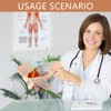 Merinden Life-Size Female Pelvis & Pelvic Floor Muscles Model