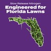 Scotts Turf Builder Bonus S Southern Weed & FeedF2 -