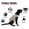 Recovery Suit for Dogs After Surgery, Dog Recovery Suit Female