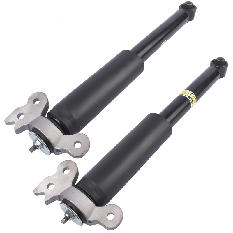 NEWZQ Set of 2 Rear Complete Shock Absorbers Replacement for
