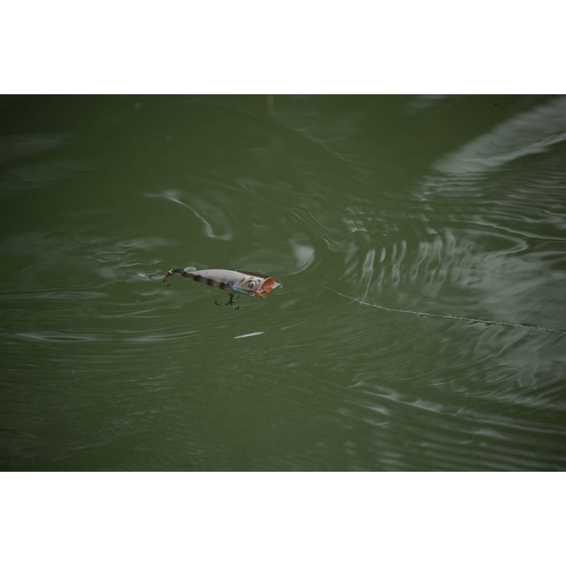 Berkley Bullet Pop - Anzuelo de Pesca, 70 g, 21,5