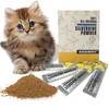 NICERINC PET 10Pack Silvervine Powder Lickable Formula Individually Packaged for