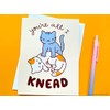 Cat Love Card "All I Knead"