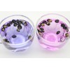 AAAAA Top Grade for Eye Health Qinghai Black Goji /