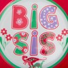 C.R. Gibson BMP-24554 Big Sister Reusable Melamine Dinner Plate, 9.8"