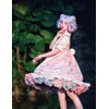 Acoolser Pannier Skirt, Tutu Skirt, Tulle, Petticoat, A-Line, Pannier, Volume,