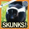 Skunks!: A My Incredible World Picture Book