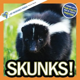 Skunks!: A My Incredible World Picture Book