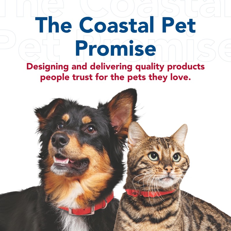 Coastal Pet Single-Ply Dog Leash - Sturdy Pet Leash -