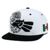 Mexican Hat Snapback Hecho En Mexico Eagle Aguila Flag Flat