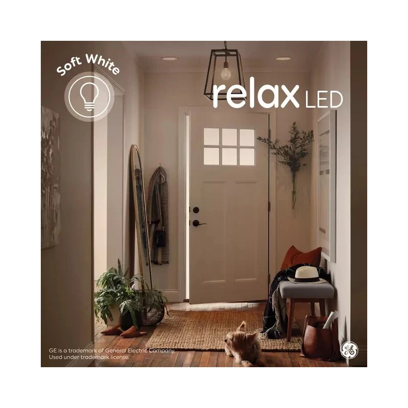 GE Lighting (case of 3) GE relax HD LED G30