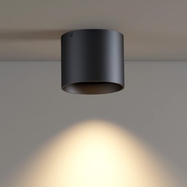 ilucezzo Ceiling Light Fixture, Flush Mount Ceiling Lights LED Dimmable Cylinder Ceiling Light Spot Light for Living Room Hallway Kitchen Dining Room Foyer 3000K 14.5W (Black)