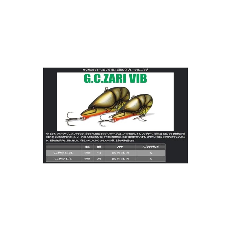 Issei Umitaro GC Zari Vibe Junior 57 issei GC ZARI