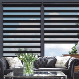 Changshade Cordless Zebra Blind for Windows with Valance, Double Layered Zebra Roller Shade, Light Filtering Window Treatment for Day and Night, 52 inches Wide, Black RBS52BK64A