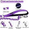 HOMIMP Chew Proof Dog Leash for Medium Large Dogs, Reflective