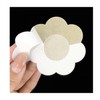 Nipple Patches 10-Piece Cover Set Nipple 15ea