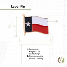 Desert Cactus Texas Lapel Pin TX State Enamel Made of Metal Souvenir Hat Men Women Patriotic Texan (Waving Flag Lapel Pin)