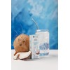 Pure Inventions Coconut Water - Water Enhancer Drops - Electrolyte