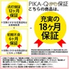 Pikakyu 30233 Toyota Rumie LED License Lamp T10 5 Row