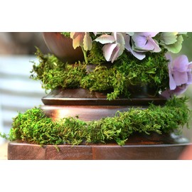 Super Moss (22711) MossVine Garland, Fresh Green, 12ft